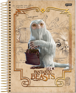 000000-2024-animais-fantasticos-univ-cp1_20231003212933H1wfZ5M6u3.png