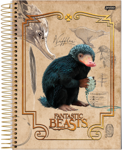 000000-2024-animais-fantasticos-univ-cp2_20231003212933IuiG0zoq85.png