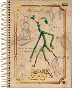 000000-2024-animais-fantasticos-univ-cp4_20231003212933BQF9kysUBl.png