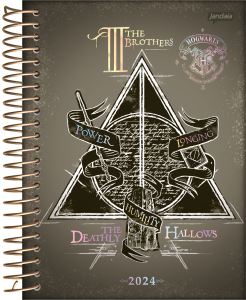 000000-2024-harry-potter-diaria-cp1-02_202309261253118tFWMXvYvc.png