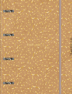000000-2024-kraft-gold-univ-argo-cp2_20240109205534XHL8rvnkwA.png