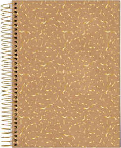000000-2024-kraft-gold-univ-cp2_202401051736002gvlsOSzmX.png