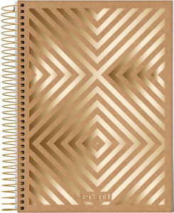 000000-2024-kraft-gold-univ-cp3_20240105123300k1NzeIJkad.png