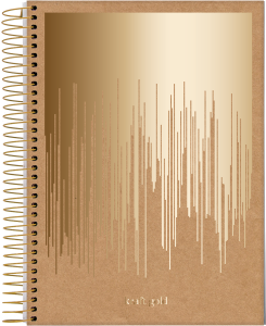 000000-2024-kraft-gold-univ-cp4_20240105173559OkSJtXeNlS.png
