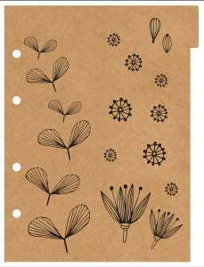 000000-2024-kraftblack-college-arg-div1_20240109205315xbWkX7y0Cz.png