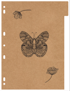 000000-2024-kraftblack-univ-div1_20240109205315WuVRPc8X7S.png