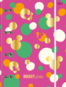 000000-2024-mickey-arts-univ-argolado-cp2_20240109205914cvVKJ2wI1Y.png