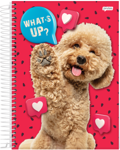 000000-2024-petslove-univ-cp1_20240105191521GfFPer15k9.png
