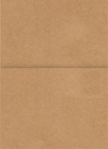 15-bolso-college-kraft-gold-2022-01_20230925172804LfPgNRgy3X.png