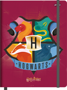 30-2024-harry-potter-caderneta-g-cp-01_20230925180628GQfk9rI0aw.png