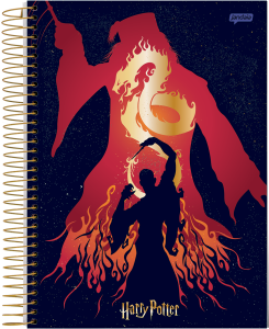 4-2024-harry-potter-univ-cp4_20230925174126QpC7DUZNdC.png