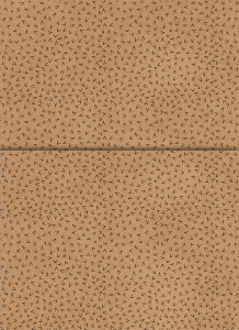 5-2024-kraft-univ-bolso-01_20230927170440XazgGfeymr.png