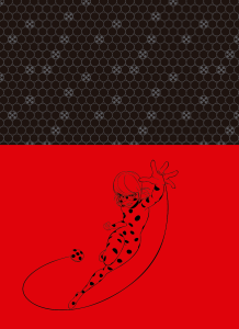 5-2024-miraculous-univ-bolsa-fr_202309261528558aP0b9wzeM.png