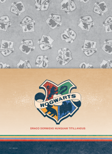 9-2024-harry-potter-bolsa-01_20230925174127umzZzcDKH6.png