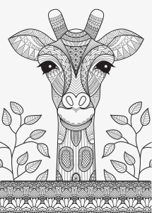 miolo-bloco-jandaia-arts-ilustracao-07_20230929184631pAOTOQId0K.png